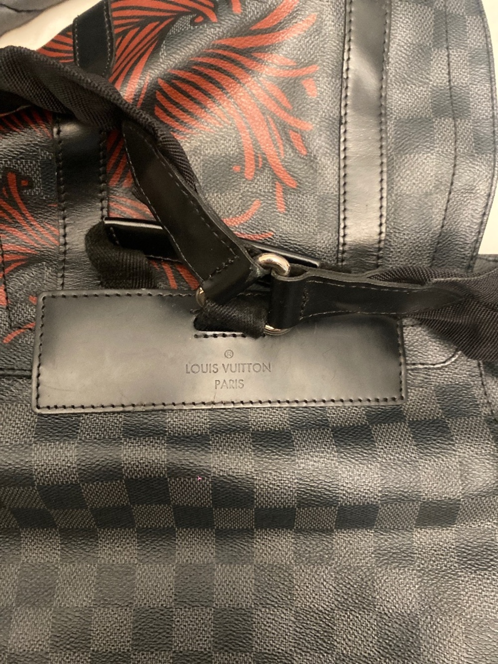 LV Backpack - Picture 4 of 5
